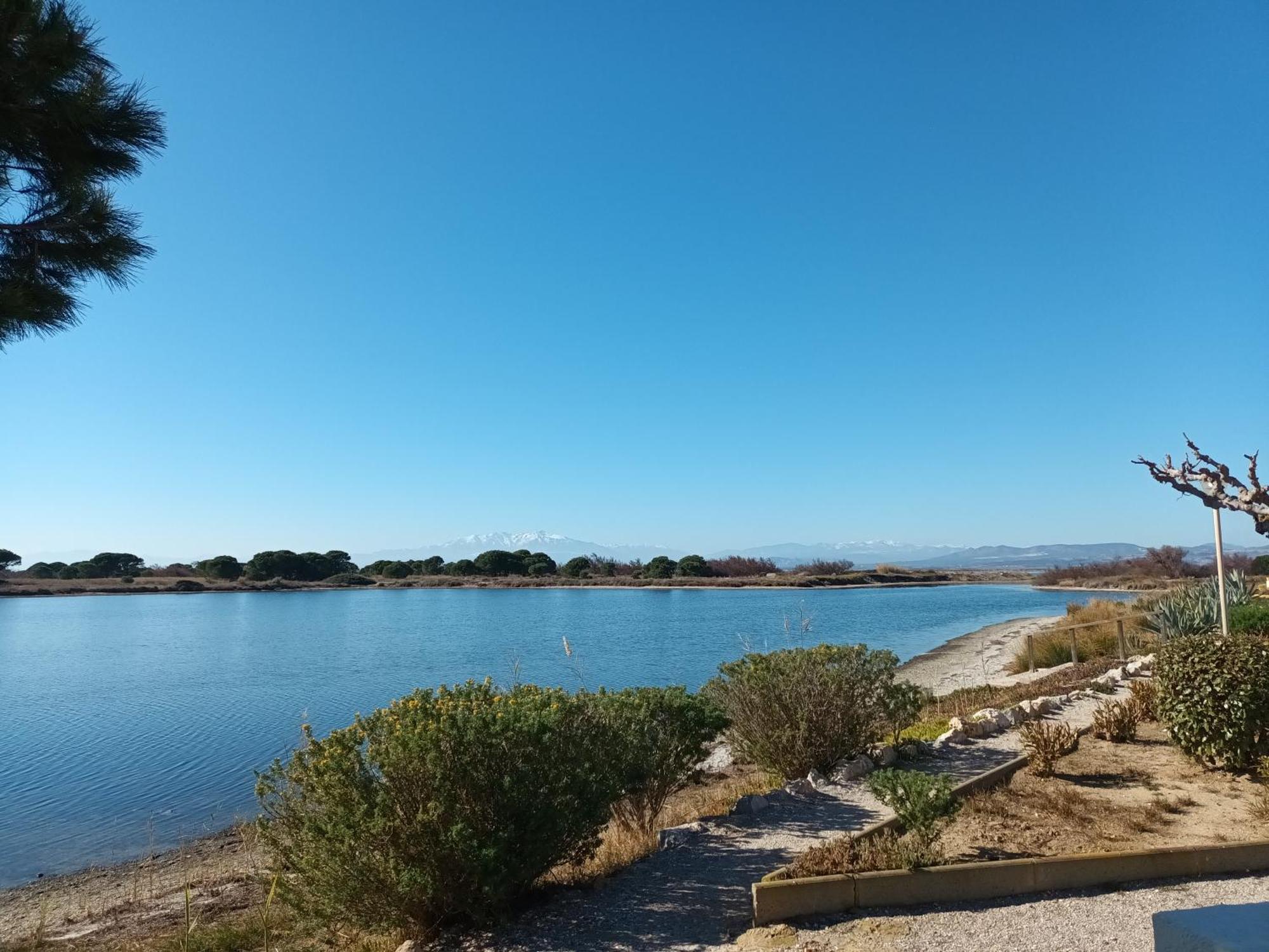 Villa "Hawai" Port Leucate Exteriör bild